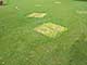 Grounds, Martin John Callanan itakephotos.eu