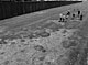 Grounds (Berliner Mauer), Martin John Callanan itakephotos.eu