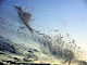 SKIES, Martin John Callanan itakephotos.eu
